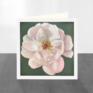 Set of 8 Greeting Cards - Image 6