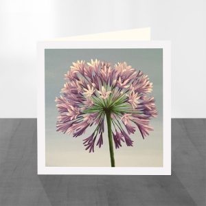 Set of 8 Greeting Cards - Image 5