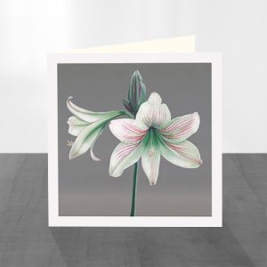 Set of 8 Greeting Cards - Image 4