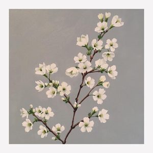 Set of 8 Postcards - Style 3 - Image 9