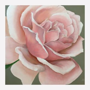 Set of 8 Postcards - Style 3 - Image 6