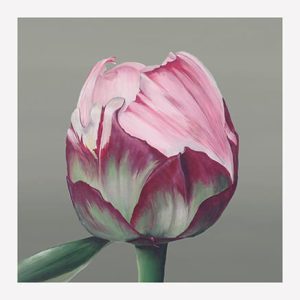 Sarah Bernhardt Peony Print