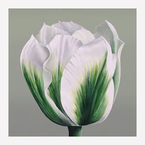 Spring green tulip print