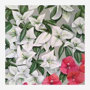 Set of 8 postcards - Style 2 - Image 8