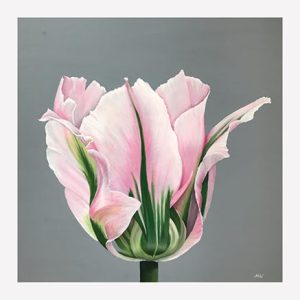 Set of 8 postcards - Style 1 - Image 4