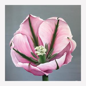 China Town Tulip Open Print