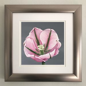 Tulip 2-piece Collection in Pewter Frame - Image 3
