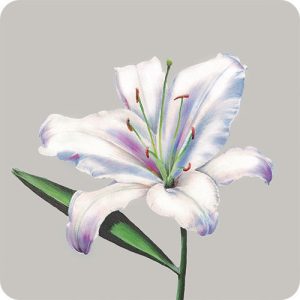 COASTERS - set of 6 - Image 8