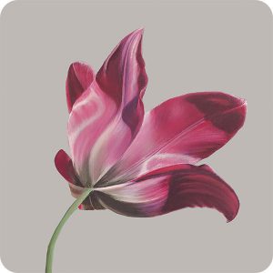 COASTERS - set of 6 - Image 11