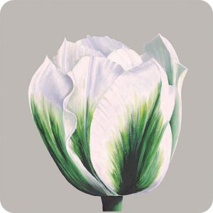 COASTERS - set of 6 - Image 6