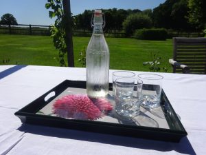 Pom-Pom Tray - Image 3