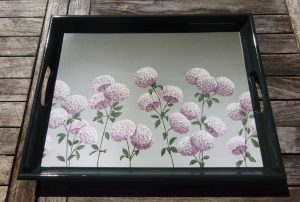 Trays