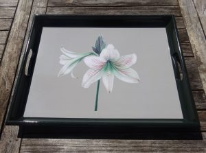 Amaryllis Tray