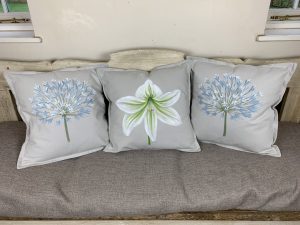 Amaryllis - green - Image 6