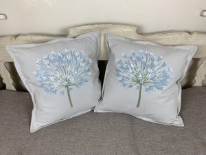 Alternative view of Agapanthus