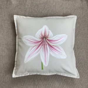 Amaryllis - pink - Image 7
