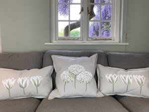 Alternative view of Hydrangea - green