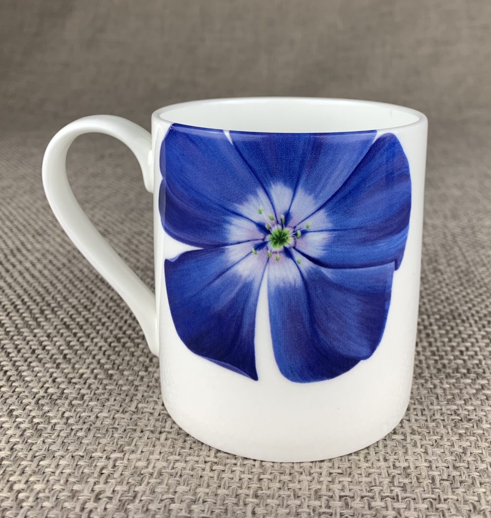 Mary-Ann Watt