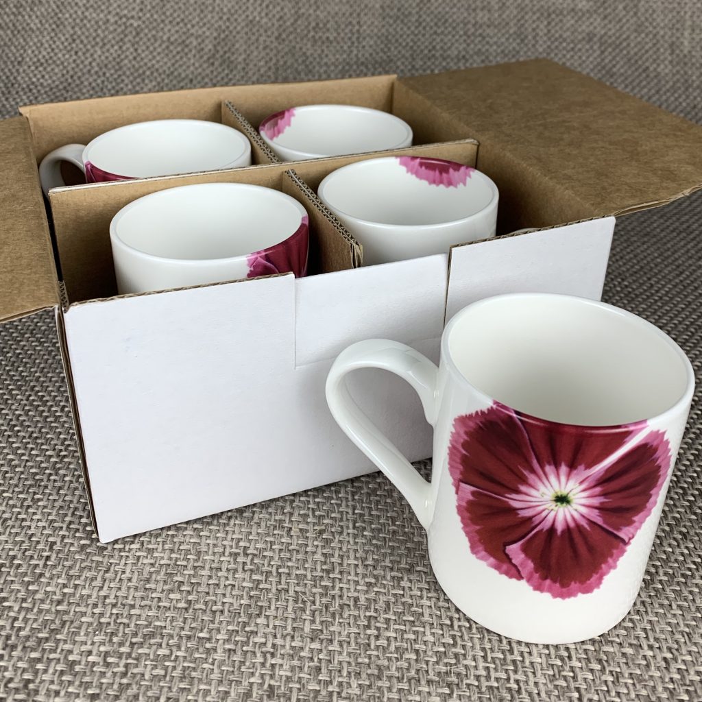 Mary-Ann Watt