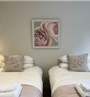 'Dusky Pink Peonies' - Image 3
