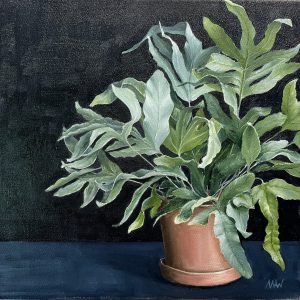 Fern