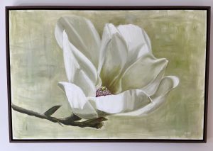 Magnolia I