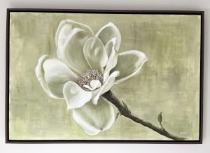 Magnolia II