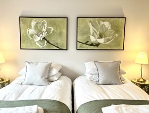 Alternative view of Magnolia I