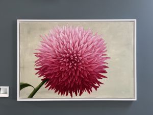 Pink Pom Pom