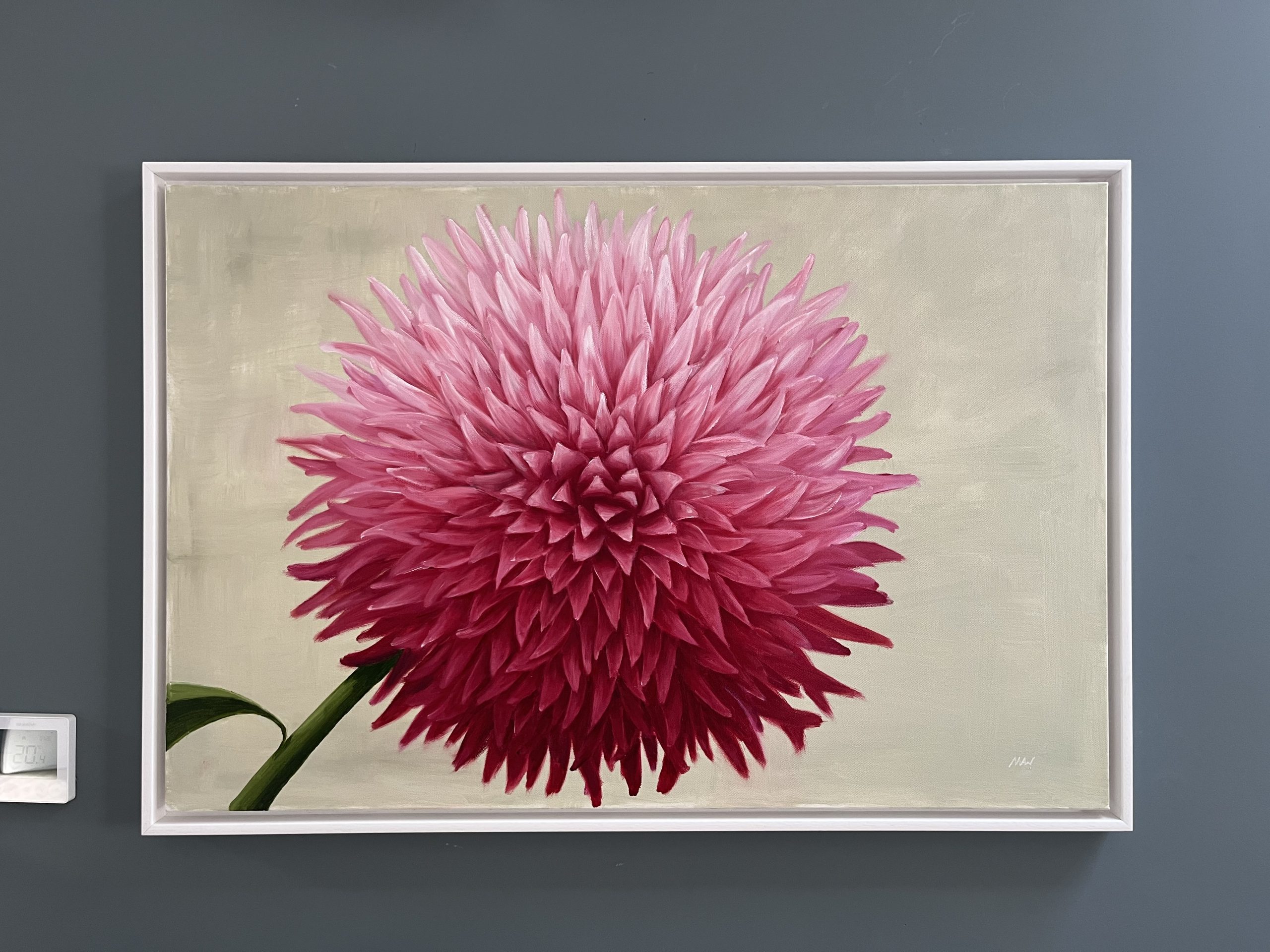 Pink Pom Pom