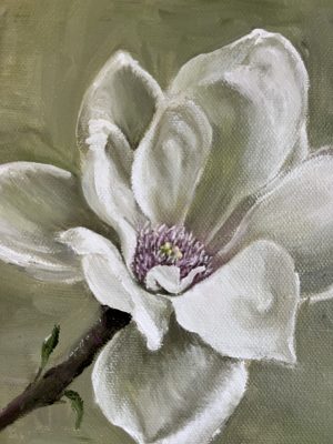 Alternative view of Little Magnolia II