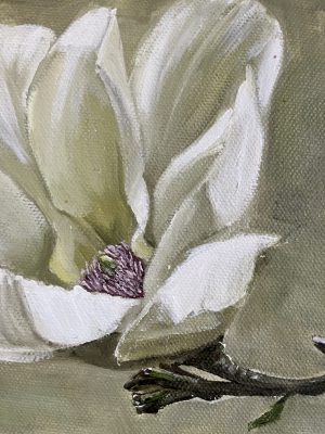 Alternative view of Little Magnolia I